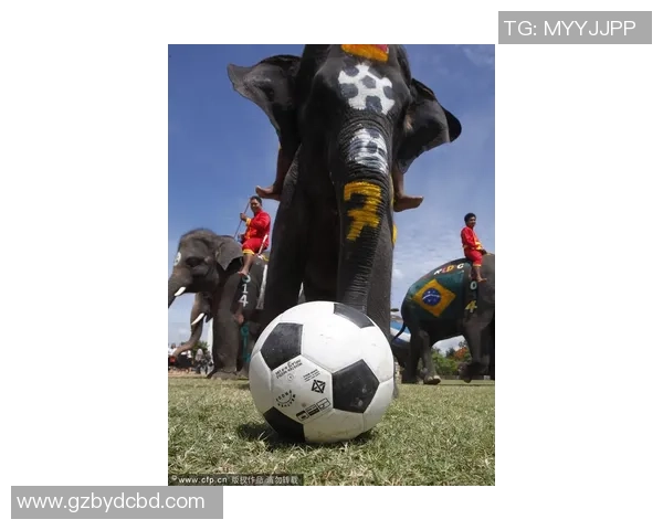 女王心目中的足球明星是谁他在绿茵场上的传奇故事与魅力解析 女王心目中的足球明星是谁他在绿茵场上的传奇故事与魅力解析