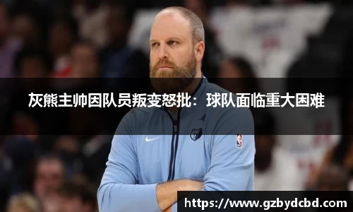 yy易游体育
