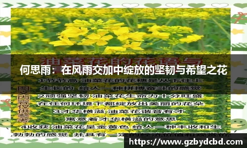 米乐YY易游