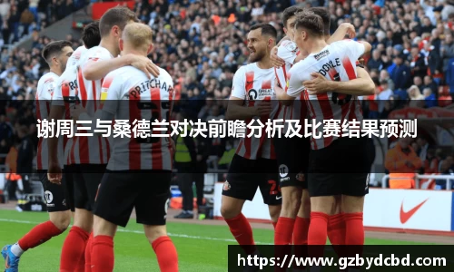 谢周三与桑德兰对决前瞻分析及比赛结果预测