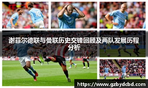 米乐YY易游